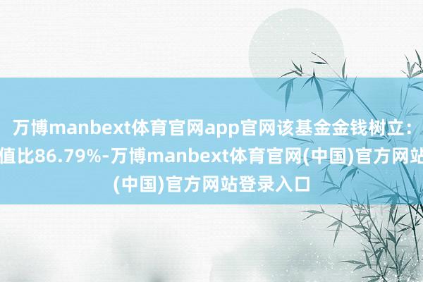万博manbext体育官网app官网该基金金钱树立:股票占净值比86.79%-万博manbext体育官网(中国)官方网站登录入口