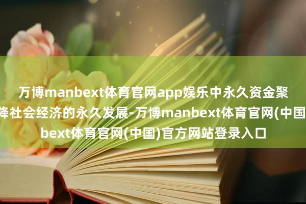 万博manbext体育官网app娱乐中永久资金聚焦于国度策略需乞降社会经济的永久发展-万博manbext体育官网(中国)官方网站登录入口