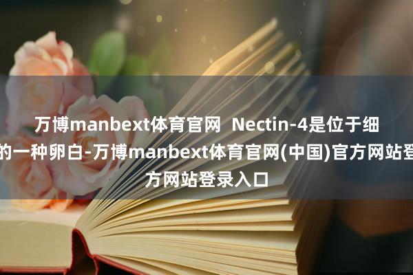 万博manbext体育官网 Nectin-4是位于细胞名义的一种卵白-万博manbext体育官网(中国)官方网站登录入口