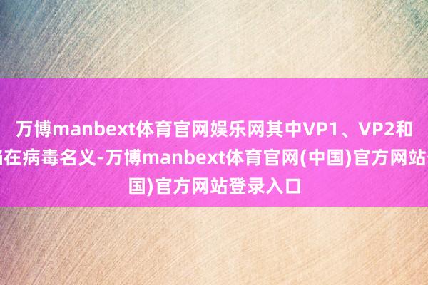 万博manbext体育官网娱乐网其中VP1、VP2和VP3露馅在病毒名义-万博manbext体育官网(中国)官方网站登录入口
