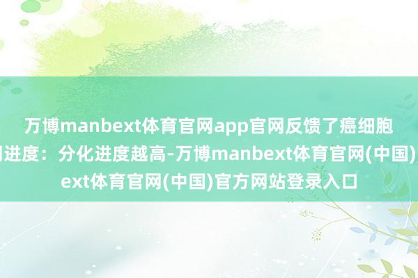 万博manbext体育官网app官网反馈了癌细胞与浅薄细胞的雷同进度：分化进度越高-万博manbext体育官网(中国)官方网站登录入口