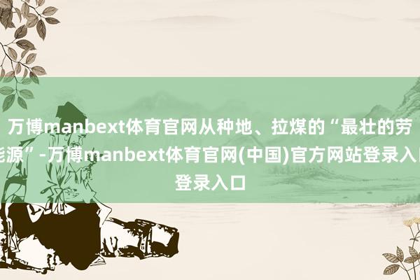 万博manbext体育官网从种地、拉煤的“最壮的劳能源”-万博manbext体育官网(中国)官方网站登录入口